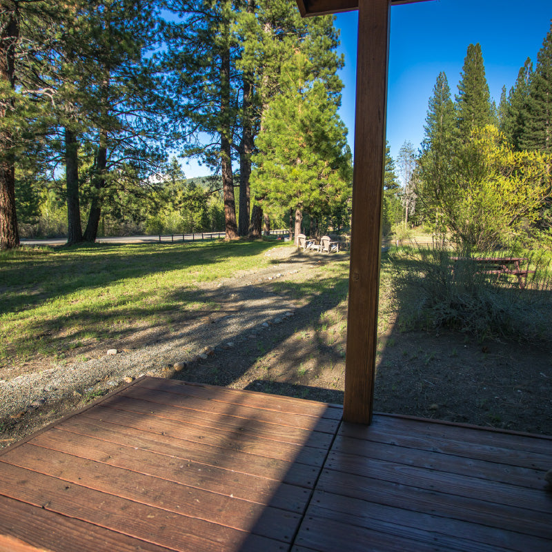 View from a private cabin rental in Graeagle, CA