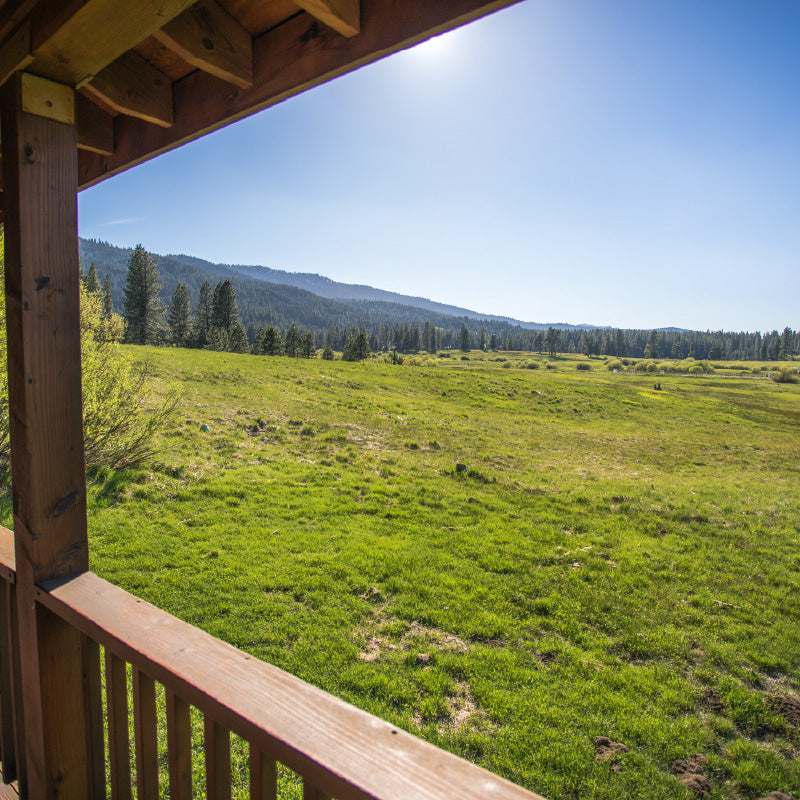 Cabins with a Meadow View