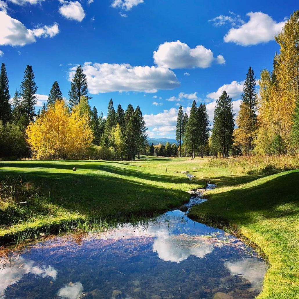 Golfing near the Lodge at Whitehawk Ranch in Graeagle, CA